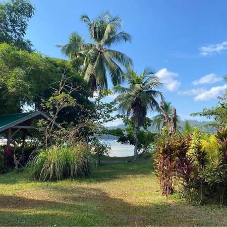 Port Barton - Paradiso Azul Campsite Beachfront With Internet San Vicente  Exterior photo