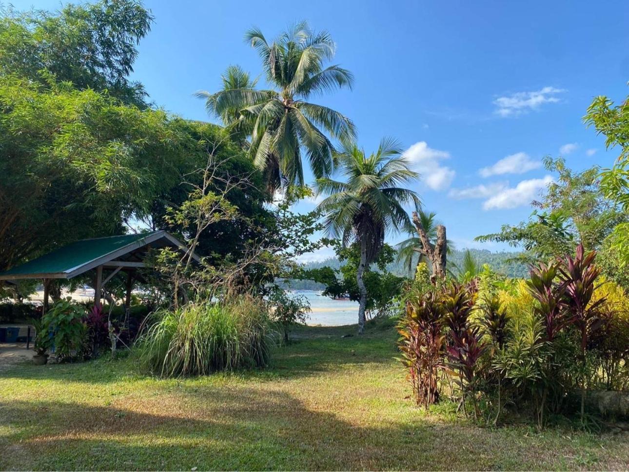 Port Barton - Paradiso Azul Campsite Beachfront With Internet San Vicente  Exterior photo