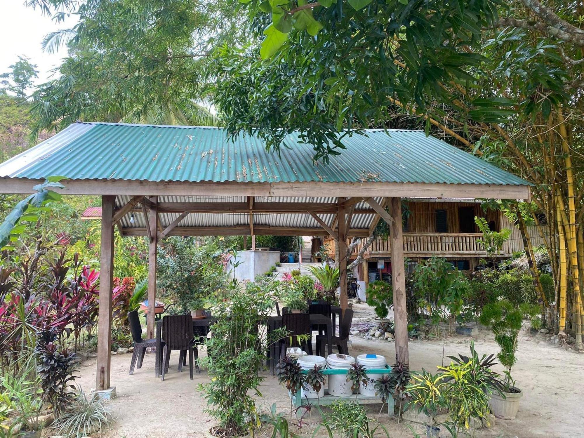 Port Barton - Paradiso Azul Campsite Beachfront With Internet San Vicente  Exterior photo
