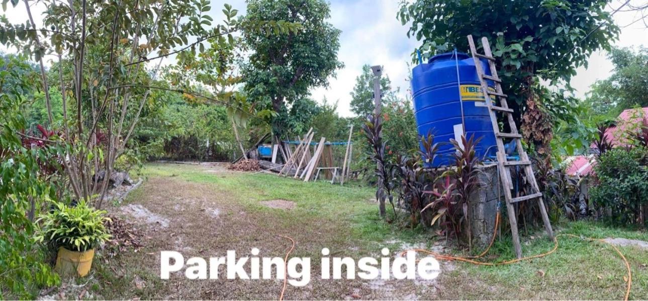 Port Barton - Paradiso Azul Campsite Beachfront With Internet San Vicente  Exterior photo
