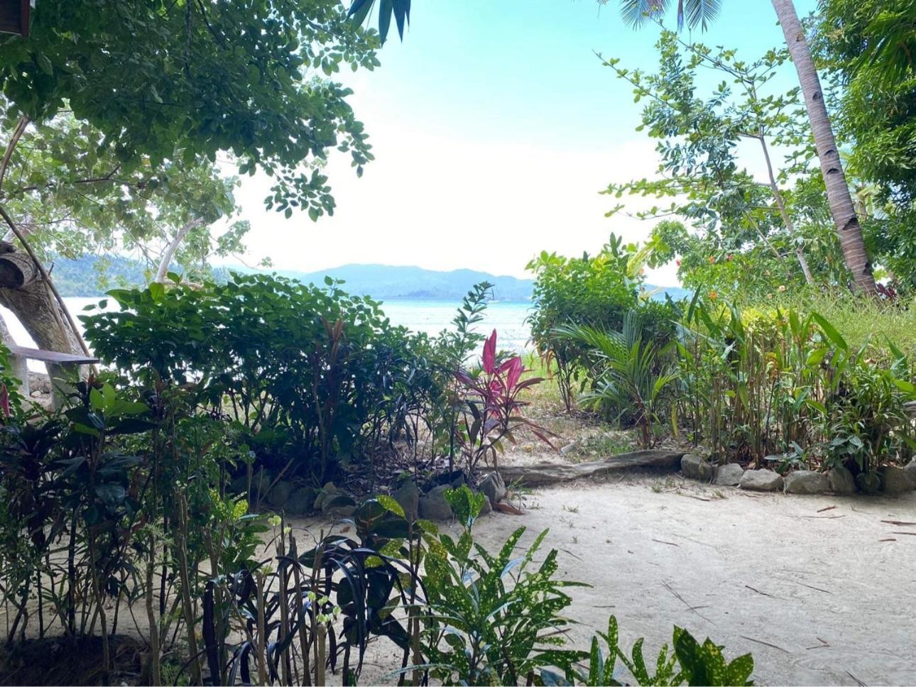 Port Barton - Paradiso Azul Campsite Beachfront With Internet San Vicente  Exterior photo