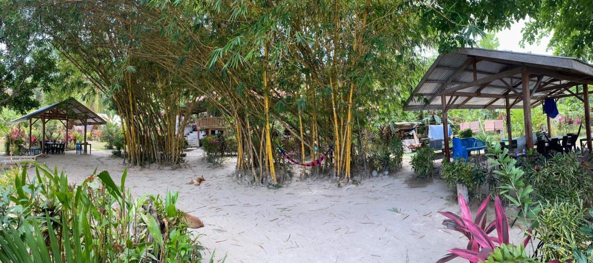 Port Barton - Paradiso Azul Campsite Beachfront With Internet San Vicente  Exterior photo