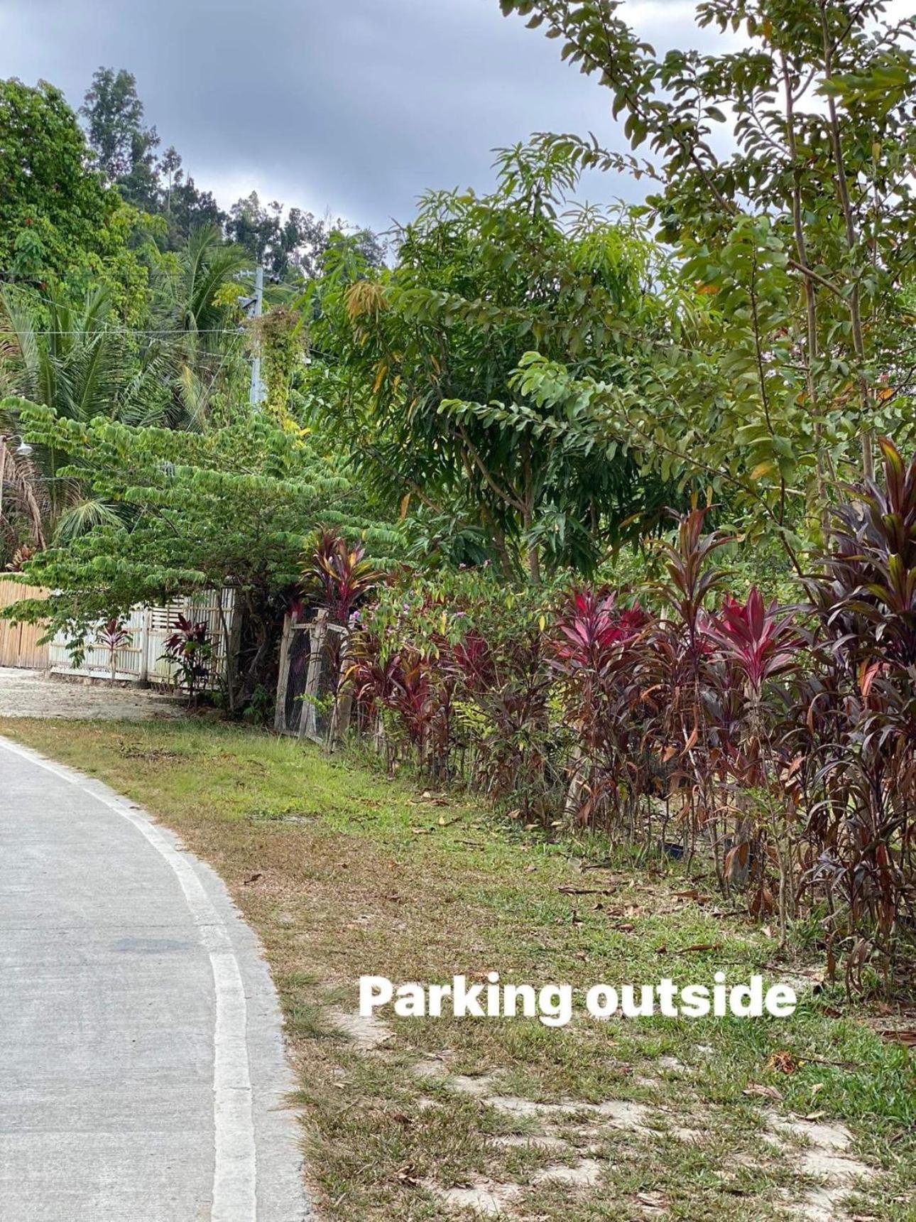 Port Barton - Paradiso Azul Campsite Beachfront With Internet San Vicente  Exterior photo