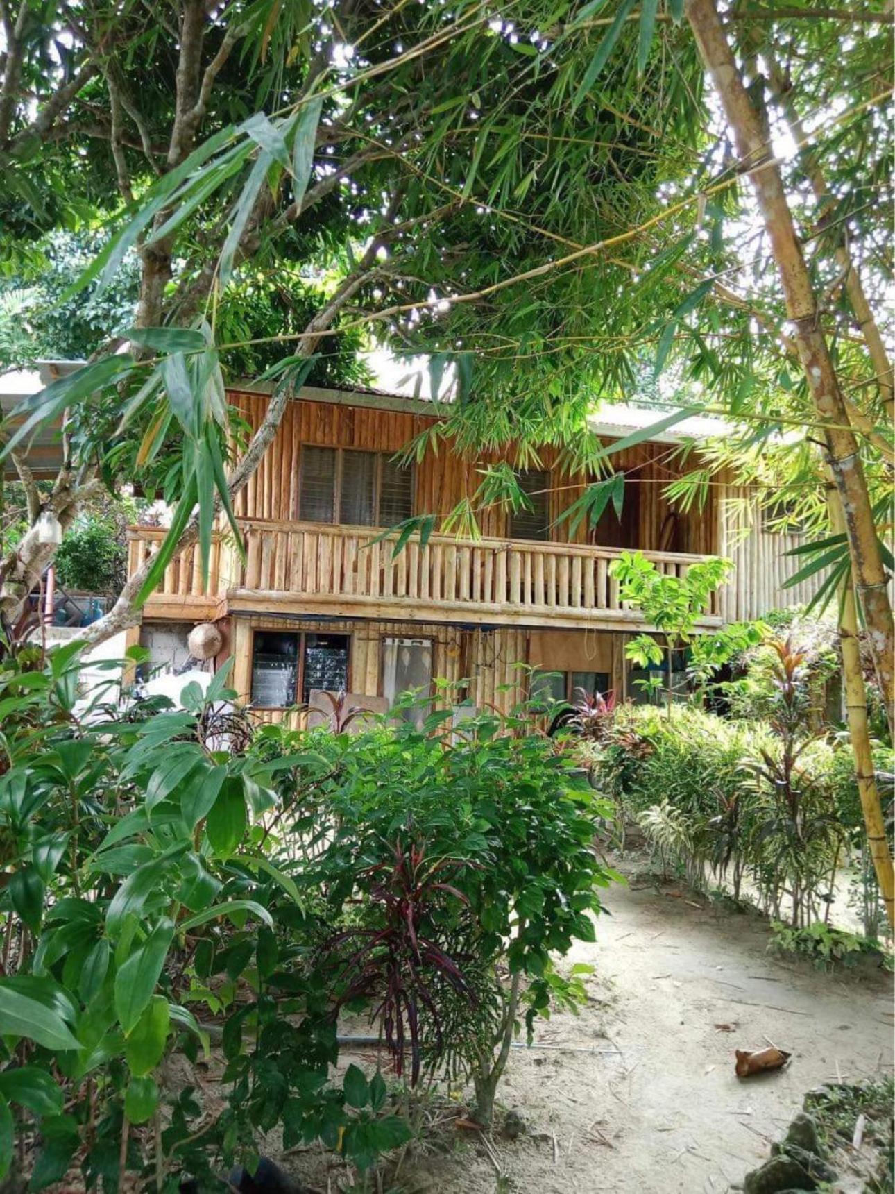 Port Barton - Paradiso Azul Campsite Beachfront With Internet San Vicente  Exterior photo