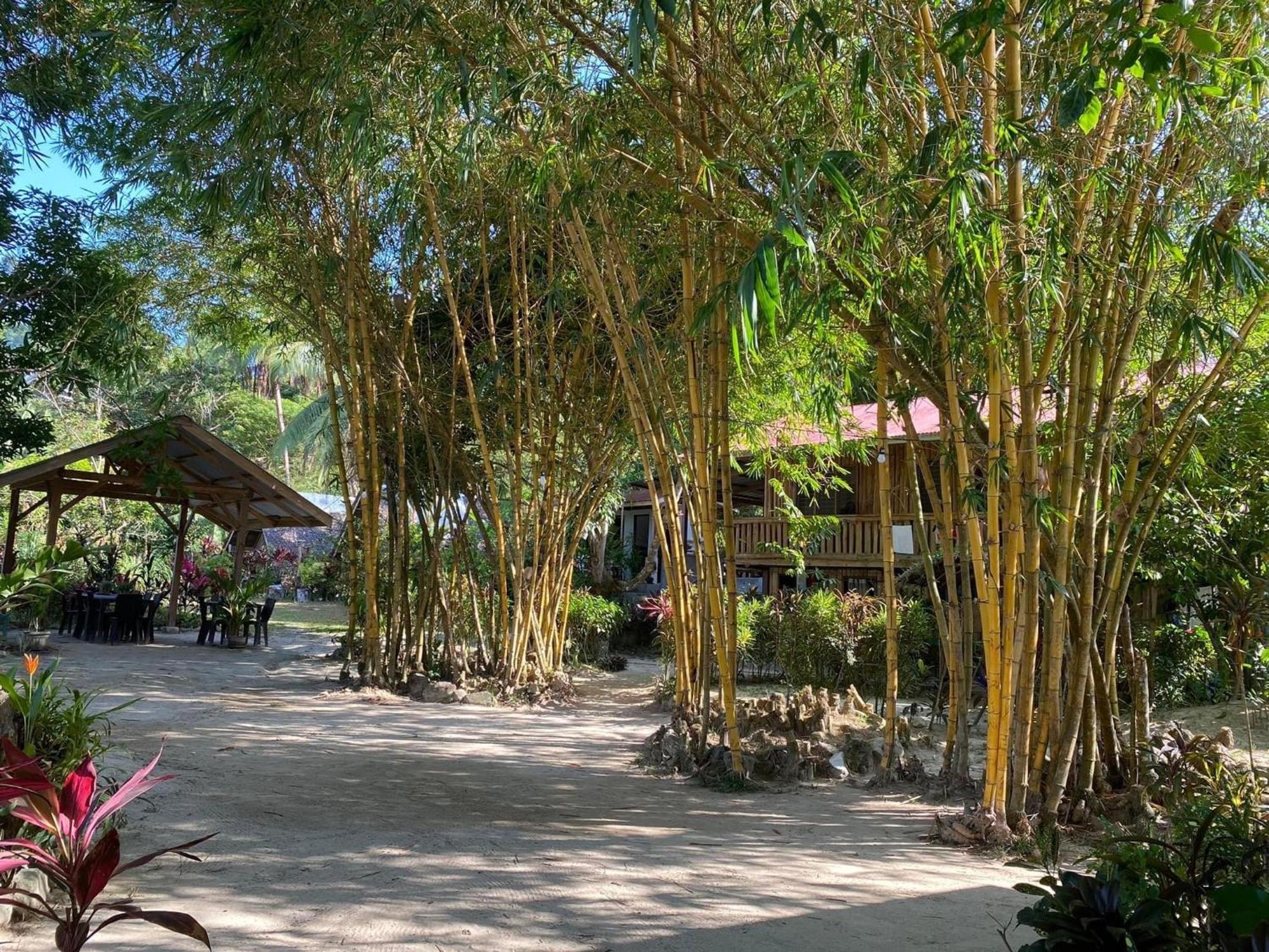 Port Barton - Paradiso Azul Campsite Beachfront With Internet San Vicente  Exterior photo
