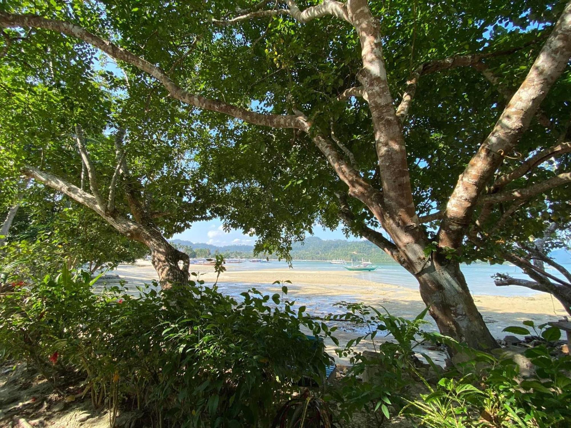 Port Barton - Paradiso Azul Campsite Beachfront With Internet San Vicente  Exterior photo